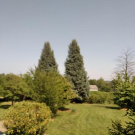 F2 Coquet A 20Mn De Marciac Saint-Martin (Gers) Екстер'єр фото